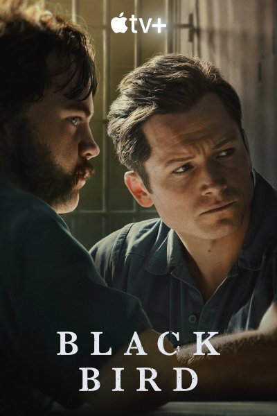 Постер сериала Чёрная птица