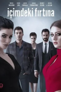 Постер сериала Буря внутри меня