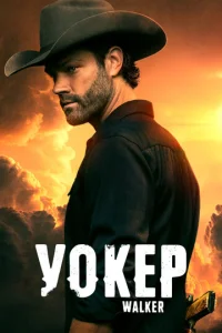 Постер сериала Уокер 