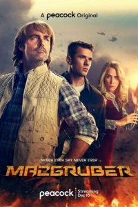 Постер сериала МакГрубер 
